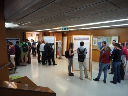 Posters Session_24